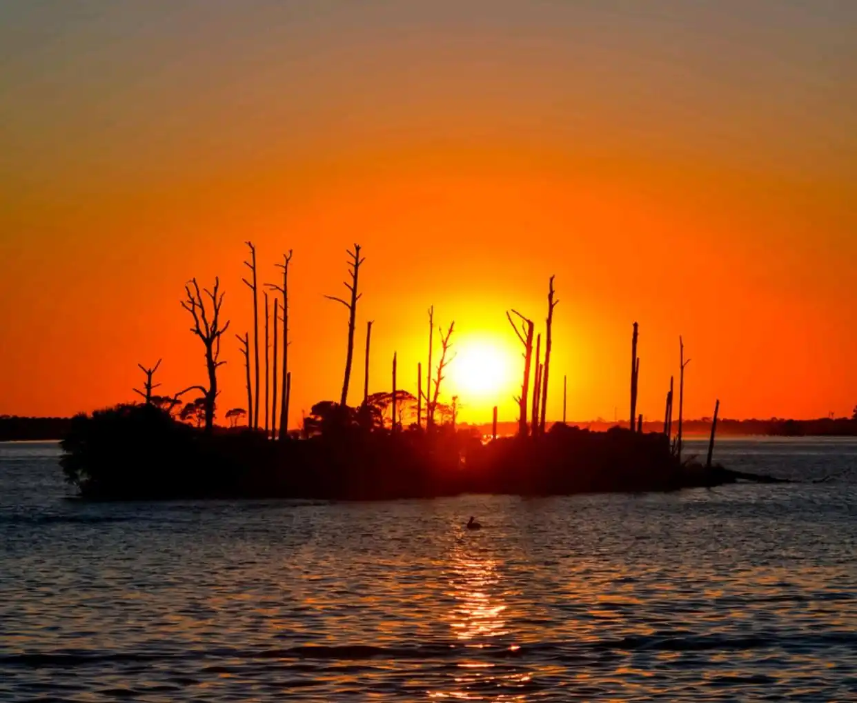 2025高考冲刺秘籍:拒绝内耗+相信自己+啃透题目+补齐短板