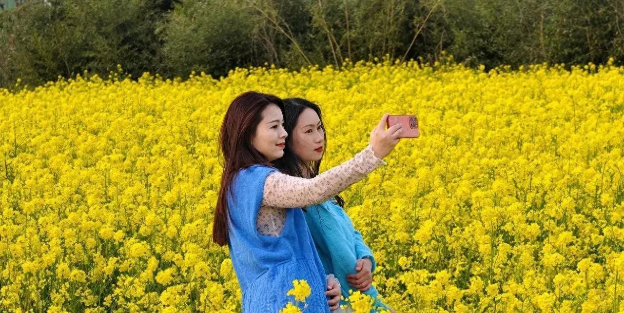 京津翼限行提醒：工作日高峰别走错，尾号记牢省罚款