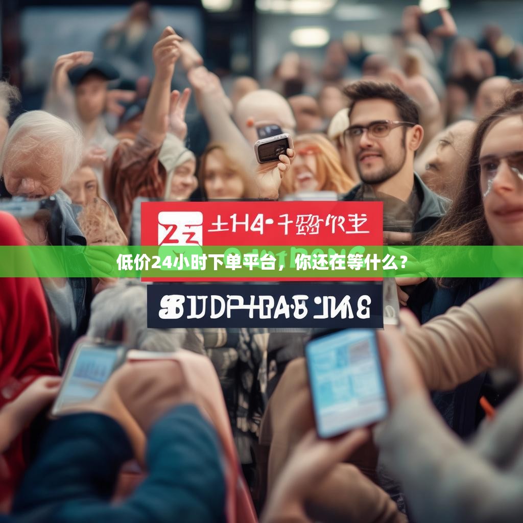 低价24小时下单平台,你还在等什么?