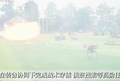 大学军训越来越硬核:步坦协同、火箭筒都来了