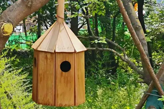 揭秘北京冬奥场馆建设:筑梦之地,助力运动健儿出征冬奥会