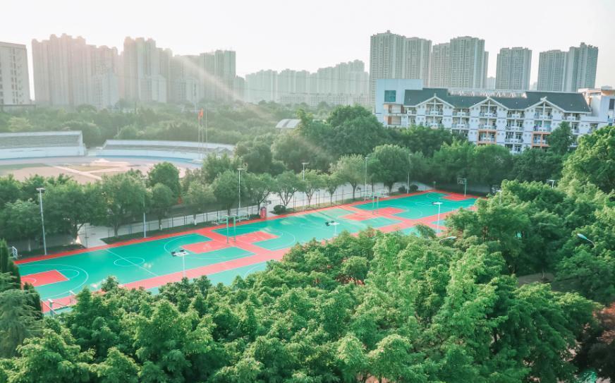 重庆虚假大学内幕:假文凭骗学生,家长损失咋挽回?