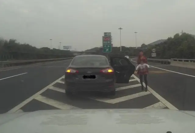 高速新增交通标志要留意!鱼骨线、震荡标线、导流线全知道