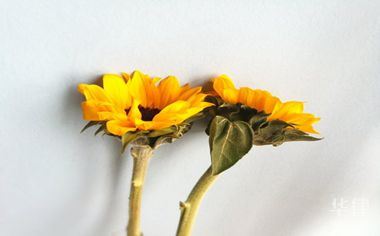 高速违章扣分咋处理？线上线下全流程及所需材料都在这儿了