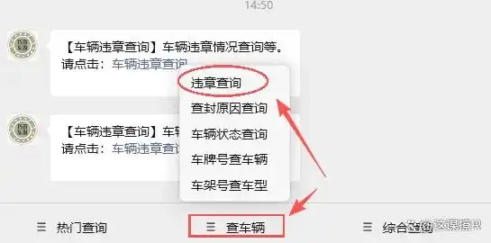 非本人车辆违章咋查?4种快速方法,5分钟搞定,超省心