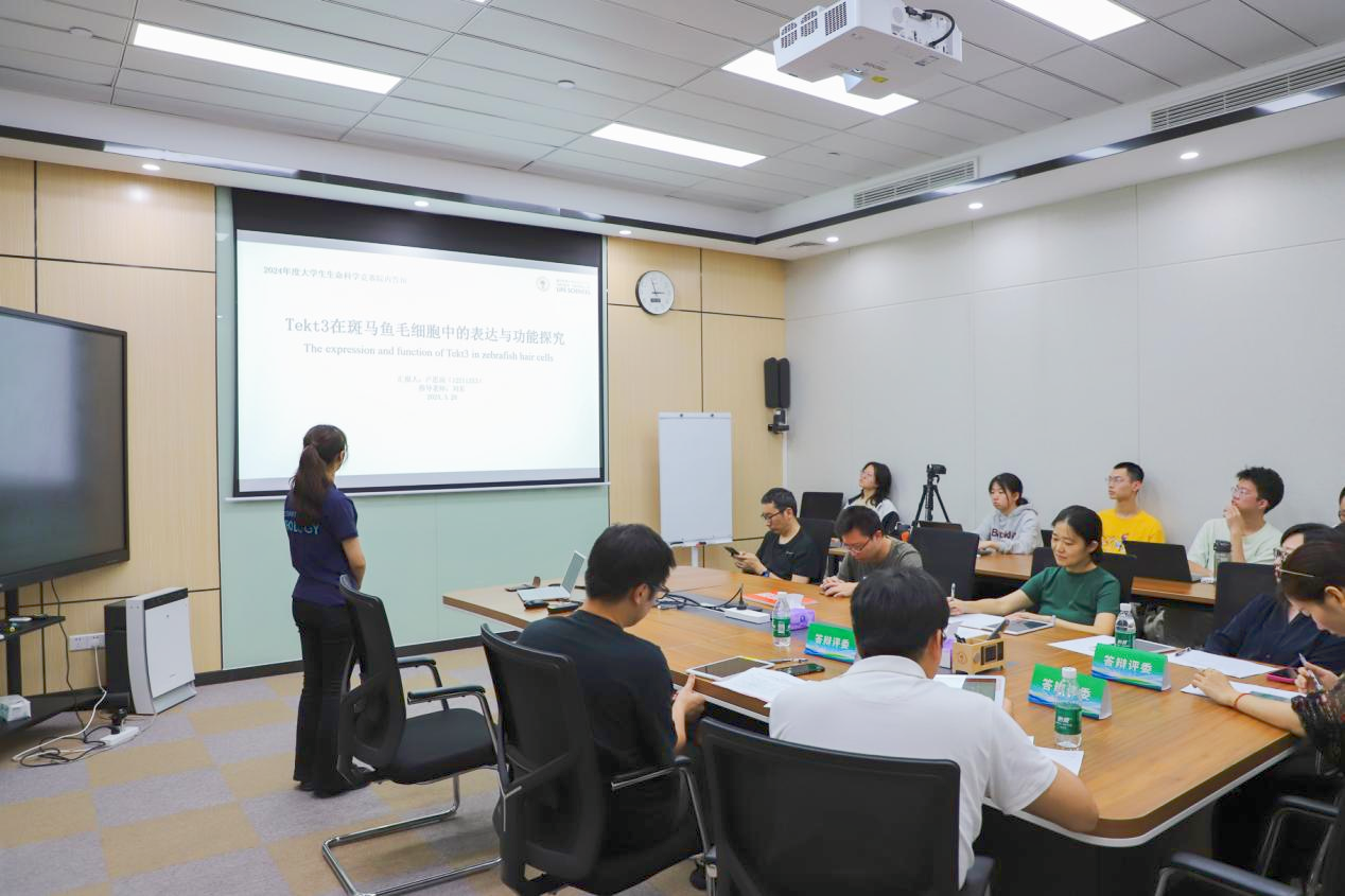 南科学子暑期竞赛屡获佳绩，多项大学学术竞赛斩获桂冠