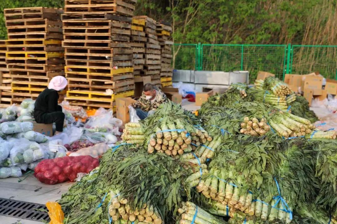 疫情防控期间我市全力保障群众生活必需品物资供应
