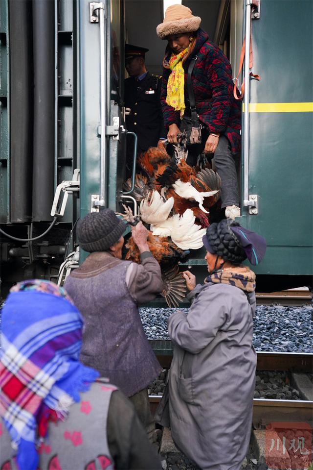 凉山慢火车：百姓出行增收加速度，助力乡村振兴