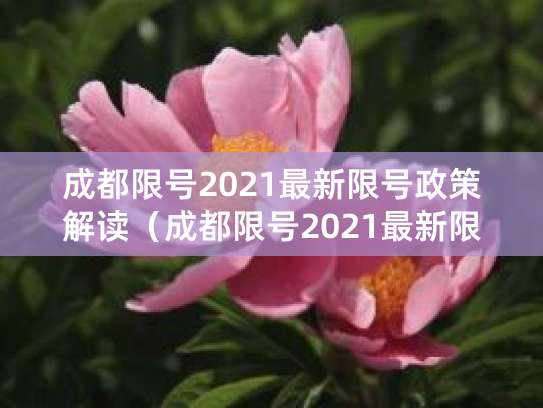 成都限号限行政策2026最新：时间+区域全解答